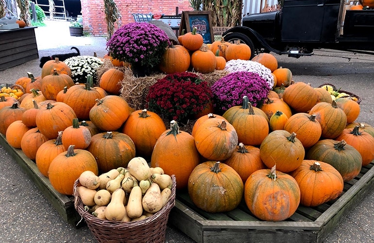 iPhone-8-camera-sample-pumpkin-patch